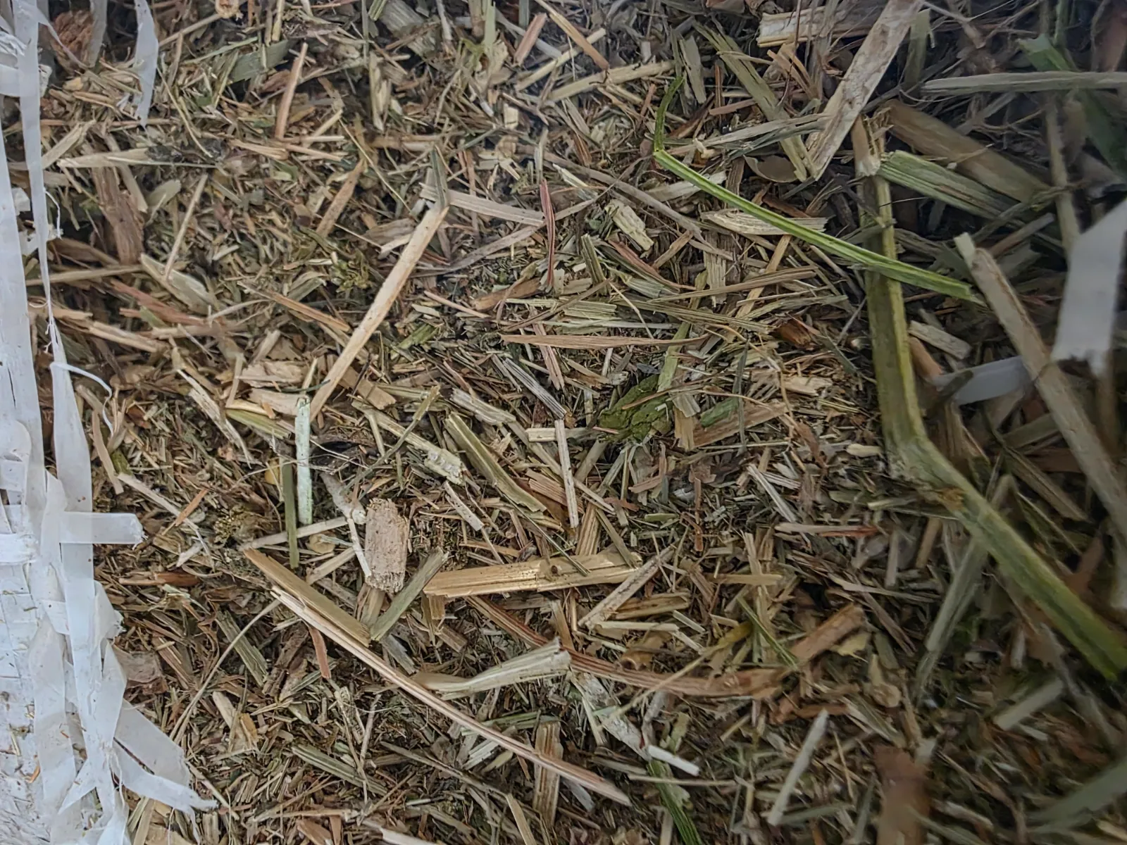 Mix Feed Bag (20 kg)