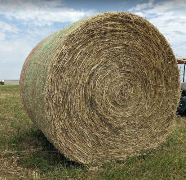 Test hay bale