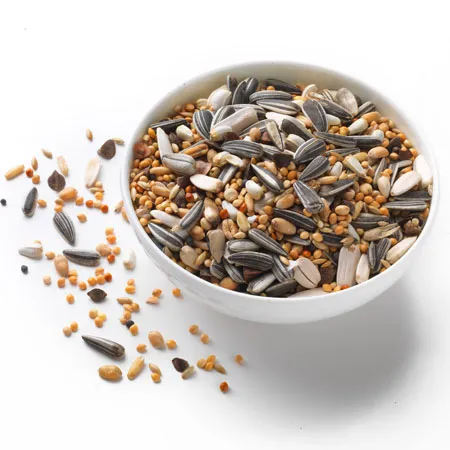 Test Mixed Bird Feed