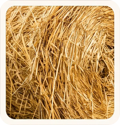 Agrifeeds Hay